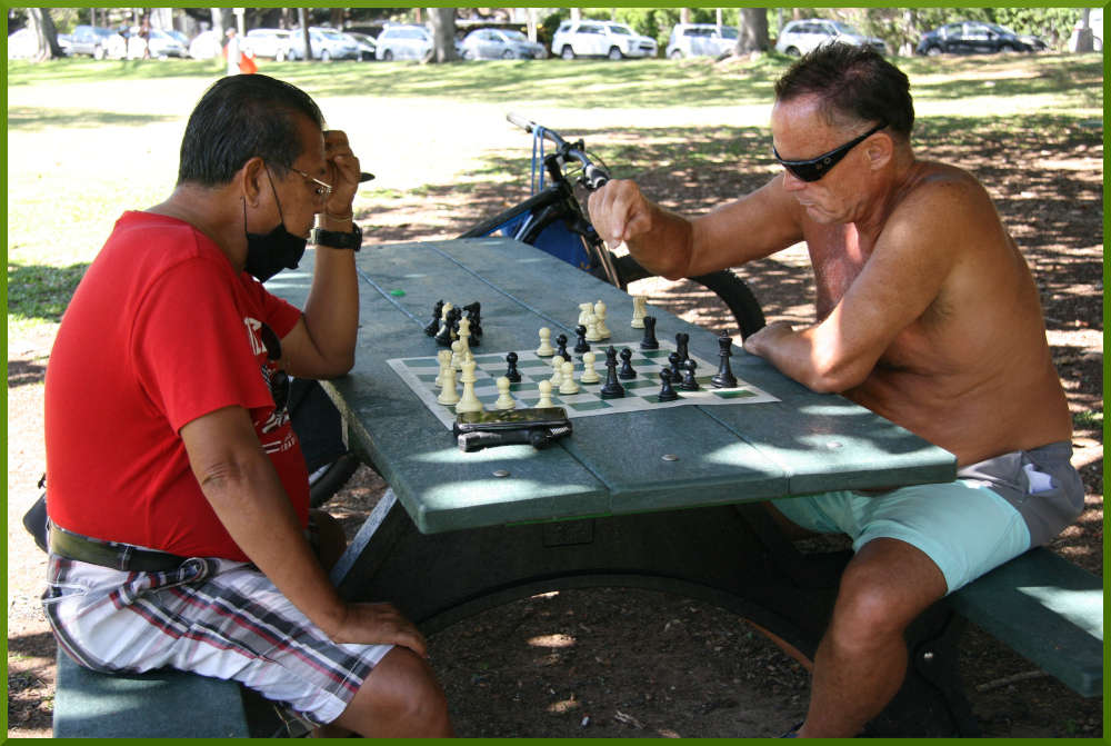 April 17th, 2021. Silver and Marshal enjoying a chess game at Kapiolani Park.
